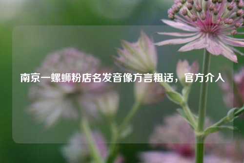 南京一螺蛳粉店名发音像方言粗话，官方介入  第1张