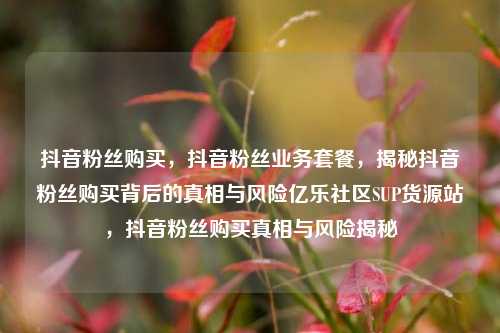 抖音粉丝购买，抖音粉丝业务套餐	，揭秘抖音粉丝购买背后的真相与风险亿乐社区SUP货源站，抖音粉丝购买真相与风险揭秘  第1张