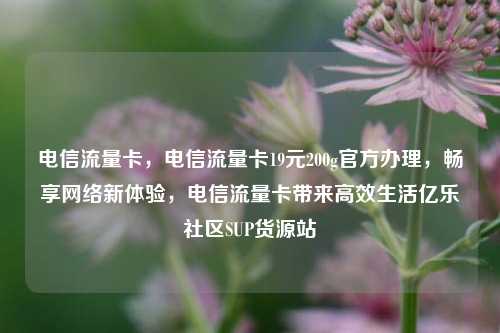 电信流量卡	，电信流量卡19元200g官方办理，畅享网络新体验，电信流量卡带来高效生活亿乐社区SUP货源站  第1张