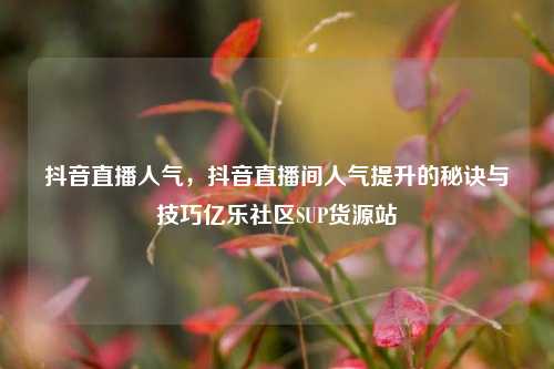 抖音直播人气，抖音直播间人气提升的秘诀与技巧亿乐社区SUP货源站  第1张