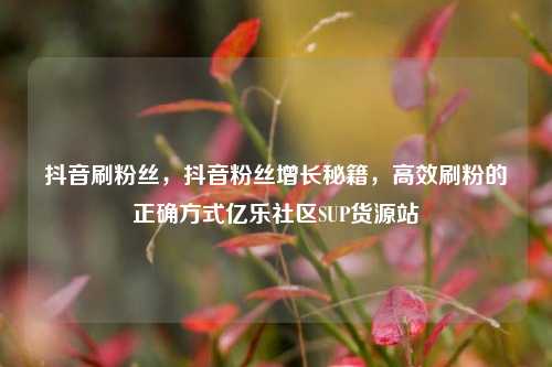 抖音刷粉丝，抖音粉丝增长秘籍，高效刷粉的正确方式亿乐社区SUP货源站  第1张