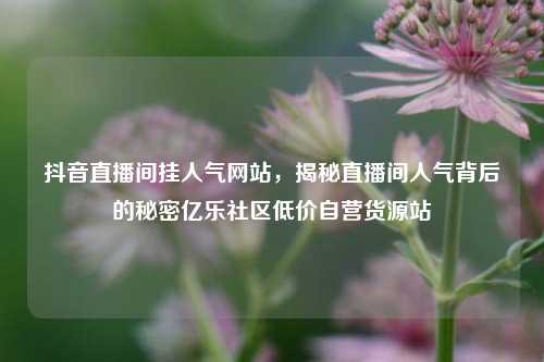 抖音直播间挂人气网站，揭秘直播间人气背后的秘密亿乐社区低价自营货源站  第1张