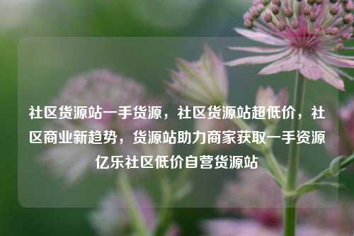 社区货源站一手货源	，社区货源站超低价，社区商业新趋势，货源站助力商家获取一手资源亿乐社区低价自营货源站  第1张