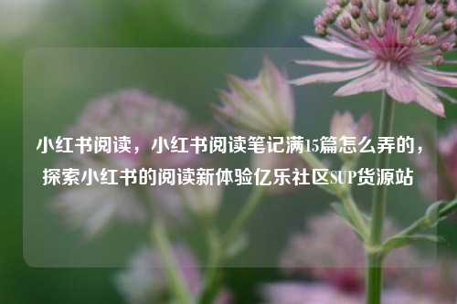 小红书阅读，小红书阅读笔记满15篇怎么弄的，探索小红书的阅读新体验亿乐社区SUP货源站  第1张