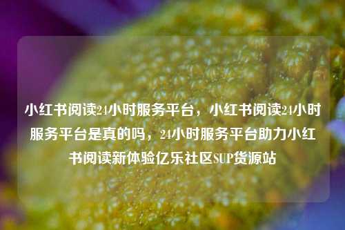 小红书阅读24小时服务平台，小红书阅读24小时服务平台是真的吗	，24小时服务平台助力小红书阅读新体验亿乐社区SUP货源站  第1张