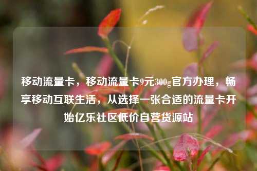 移动流量卡，移动流量卡9元300g官方办理	，畅享移动互联生活，从选择一张合适的流量卡开始亿乐社区低价自营货源站  第1张