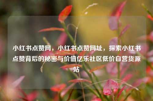 小红书点赞网，小红书点赞网址，探索小红书点赞背后的秘密与价值亿乐社区低价自营货源站  第1张
