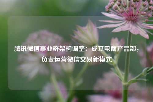 腾讯微信事业群架构调整：成立电商产品部	，负责运营微信交易新模式  第1张