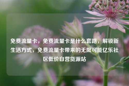 免费流量卡，免费流量卡是什么套路	，解锁新生活方式，免费流量卡带来的无限可能亿乐社区低价自营货源站  第1张