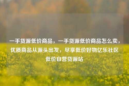 一手货源低价商品	，一手货源低价商品怎么卖，优质商品从源头出发，尽享低价好物亿乐社区低价自营货源站  第1张