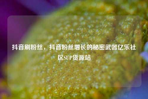 抖音刷粉丝，抖音粉丝增长的秘密武器亿乐社区SUP货源站  第1张