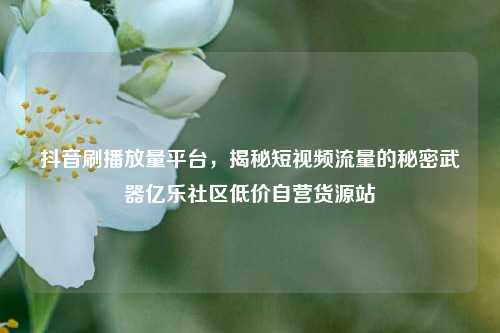 抖音刷播放量平台，揭秘短视频流量的秘密武器亿乐社区低价自营货源站  第1张