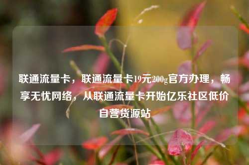 联通流量卡	，联通流量卡19元200g官方办理，畅享无忧网络，从联通流量卡开始亿乐社区低价自营货源站  第1张