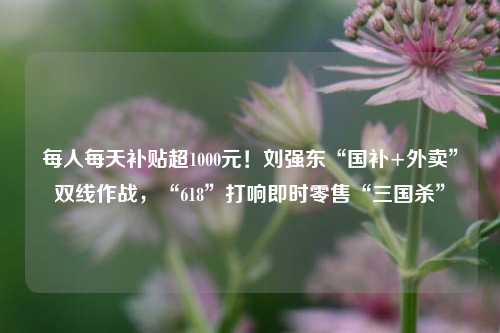 每人每天补贴超1000元！刘强东“国补+外卖	”双线作战	，“618”打响即时零售“三国杀”  第1张
