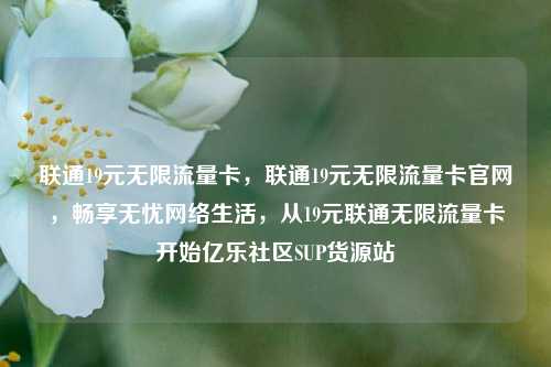 联通19元无限流量卡，联通19元无限流量卡官网	，畅享无忧网络生活，从19元联通无限流量卡开始亿乐社区SUP货源站  第1张