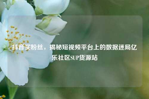抖音买粉丝	，揭秘短视频平台上的数据迷局亿乐社区SUP货源站  第1张