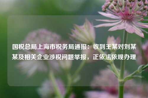 国税总局上海市税务局通报：收到王某对刘某某及相关企业涉税问题举报，正依法依规办理  第1张