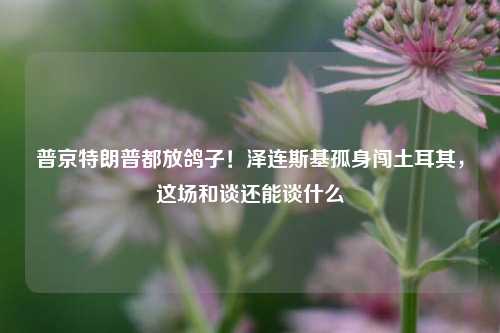 普京特朗普都放鸽子！泽连斯基孤身闯土耳其，这场和谈还能谈什么  第1张
