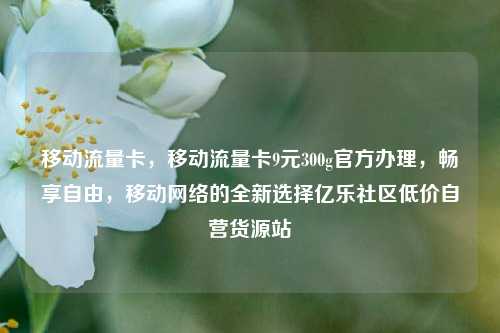 移动流量卡，移动流量卡9元300g官方办理，畅享自由	，移动网络的全新选择亿乐社区低价自营货源站  第1张