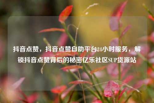 抖音点赞	，抖音点赞自助平台24小时服务，解锁抖音点赞背后的秘密亿乐社区SUP货源站  第1张