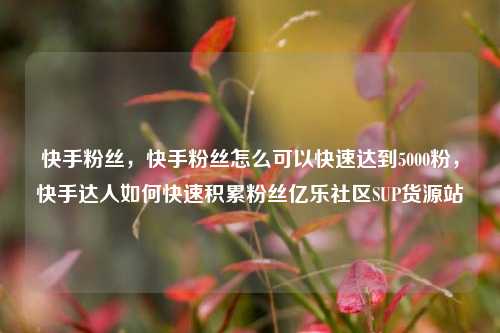 快手粉丝，快手粉丝怎么可以快速达到5000粉，快手达人如何快速积累粉丝亿乐社区SUP货源站  第1张