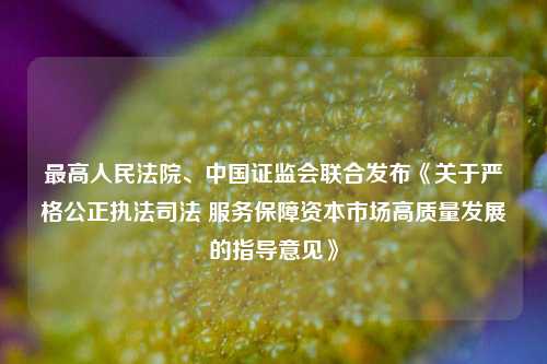 最高人民法院、中国证监会联合发布《关于严格公正执法司法 服务保障资本市场高质量发展的指导意见》  第1张