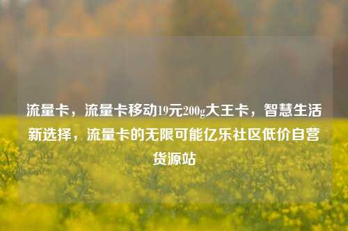 流量卡	，流量卡移动19元200g大王卡，智慧生活新选择，流量卡的无限可能亿乐社区低价自营货源站  第1张