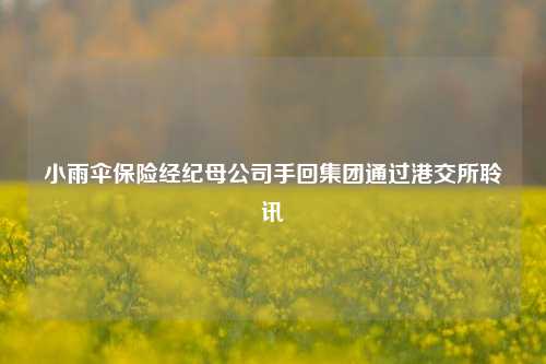 小雨伞保险经纪母公司手回集团通过港交所聆讯  第1张 小雨伞保险经纪母公司手回集团通过港交所聆讯  第1张