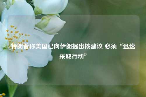 特朗普称美国已向伊朗提出核建议 必须“迅速采取行动”  第1张