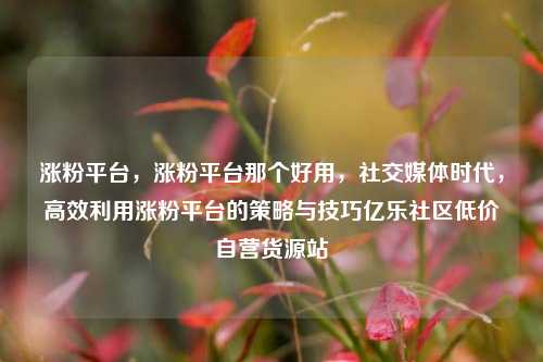 涨粉平台，涨粉平台那个好用，社交媒体时代	，高效利用涨粉平台的策略与技巧亿乐社区低价自营货源站  第1张