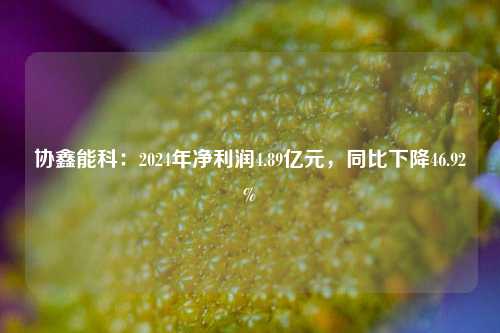 协鑫能科：2024年净利润4.89亿元，同比下降46.92%  第1张