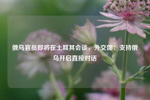 俄乌官员即将在土耳其会谈，外交部：支持俄乌开启直接对话  第1张