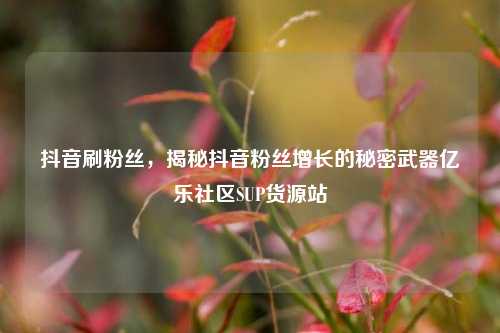 抖音刷粉丝，揭秘抖音粉丝增长的秘密武器亿乐社区SUP货源站  第1张