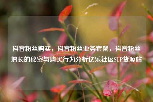 抖音粉丝购买，抖音粉丝业务套餐，抖音粉丝增长的秘密与购买行为分析亿乐社区SUP货源站  第1张