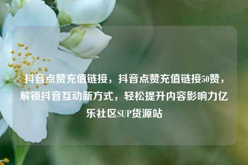 抖音点赞充值链接，抖音点赞充值链接50赞，解锁抖音互动新方式	，轻松提升内容影响力亿乐社区SUP货源站  第1张