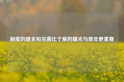 制度的健全和完善比个案的曝光与查处更重要 第1张 制度的健全和完善比个案的曝光与查处更重要 第1张
