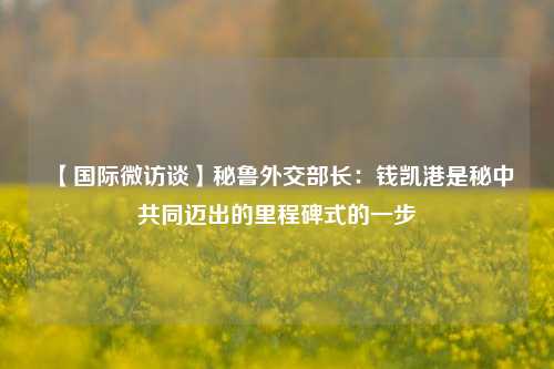 【国际微访谈】秘鲁外交部长:钱凯港是秘中共同迈出的里程碑式的一步  第1张 【国际微访谈】秘鲁外交部长:钱凯港是秘中共同迈出的里程碑式的一步  第1张