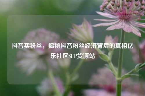 抖音买粉丝，揭秘抖音粉丝经济背后的真相亿乐社区SUP货源站  第1张