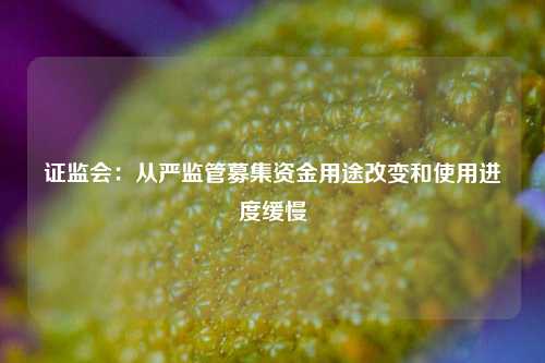 证监会:从严监管募集资金用途改变和使用进度缓慢  第1张 证监会:从严监管募集资金用途改变和使用进度缓慢  第1张