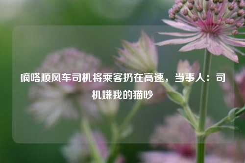 嘀嗒顺风车司机将乘客扔在高速，当事人：司机嫌我的猫吵  第1张