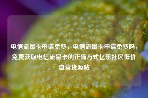 电信流量卡申请免费，电信流量卡申请免费吗	，免费获取电信流量卡的正确方式亿乐社区低价自营货源站  第1张