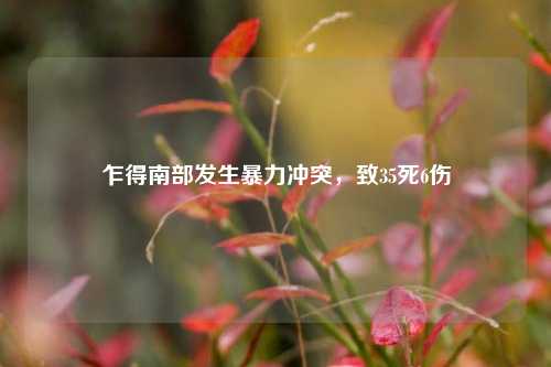 乍得南部发生暴力冲突，致35死6伤  第1张