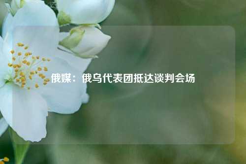 俄媒:俄乌代表团抵达谈判会场  第1张 俄媒:俄乌代表团抵达谈判会场  第1张