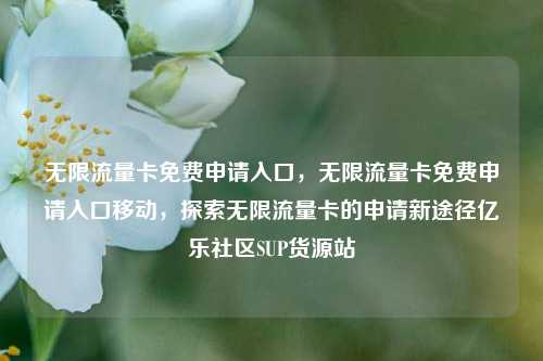 无限流量卡免费申请入口，无限流量卡免费申请入口移动，探索无限流量卡的申请新途径亿乐社区SUP货源站  第1张