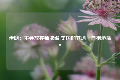 伊朗：不会放弃铀浓缩 美国的立场“自相矛盾”  第1张