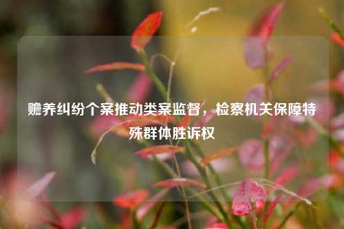 赡养纠纷个案推动类案监督，检察机关保障特殊群体胜诉权  第1张