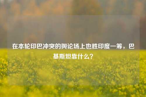 在本轮印巴冲突的舆论场上也胜印度一筹，巴基斯坦靠什么？  第1张