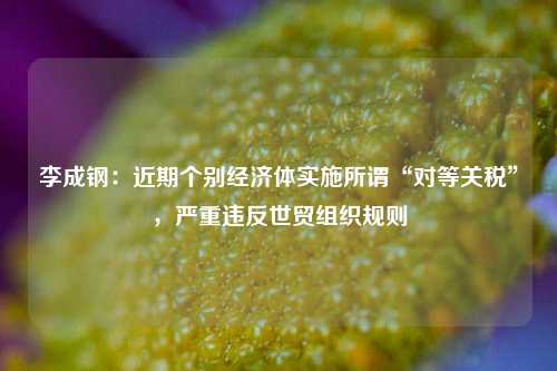 李成钢：近期个别经济体实施所谓“对等关税”，严重违反世贸组织规则  第1张