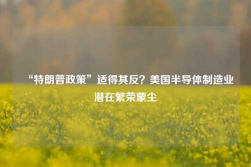 “特朗普政策”适得其反？美国半导体制造业潜在繁荣蒙尘  第1张