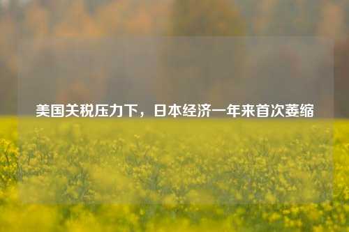 美国关税压力下，日本经济一年来首次萎缩  第1张